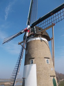 Windmühle Oud Beierland